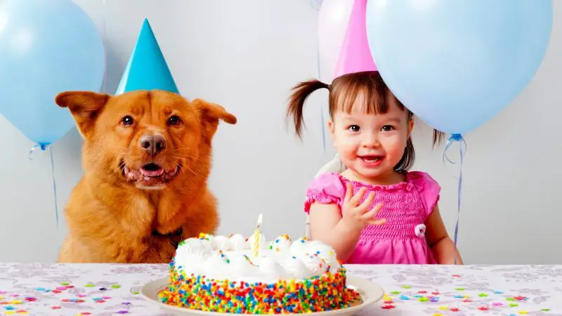 Design Your Photo - Do Not Let the Birthday Party Distract You