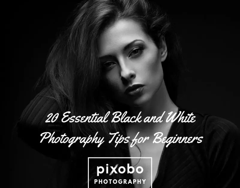 20 Essential Black And White Photography Tips For Beginners