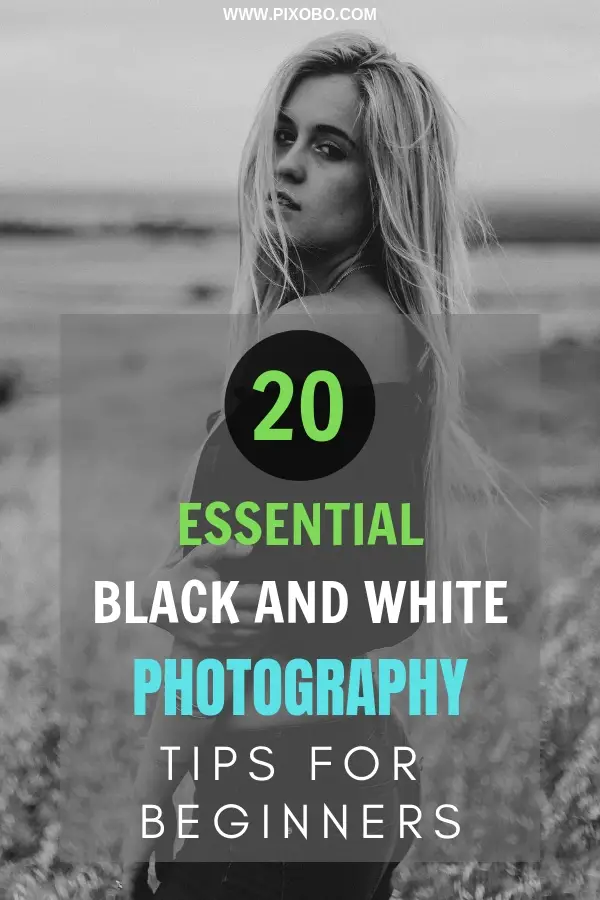 20 Essential Black and White Photography Tips for Beginners