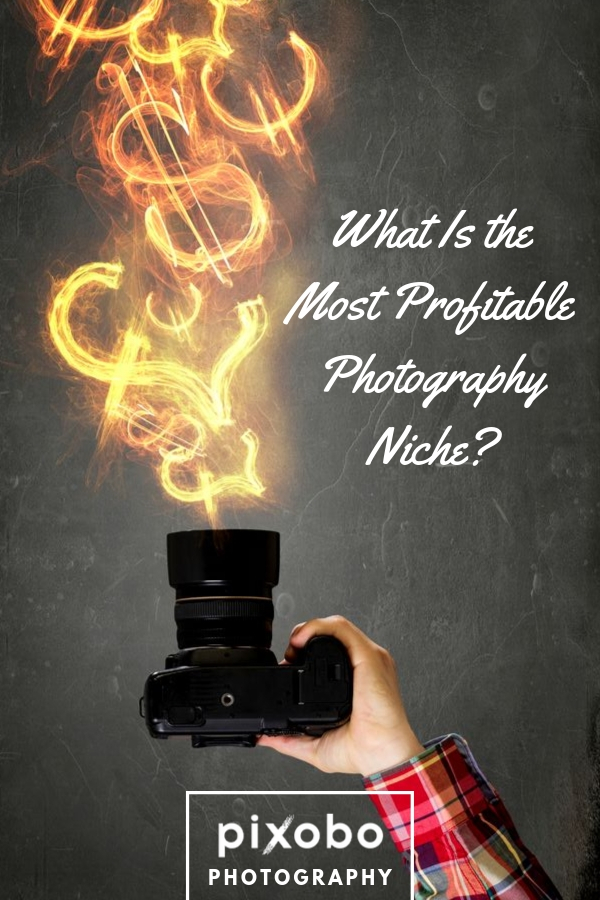 What Is the Most Profitable Photography Niche?