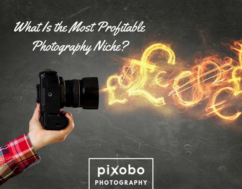 What Is the Most Profitable Photography Niche_