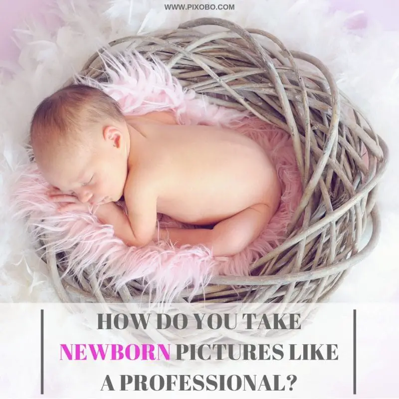 Newborn Photography How Do You Take Newborn Pictures Like A 