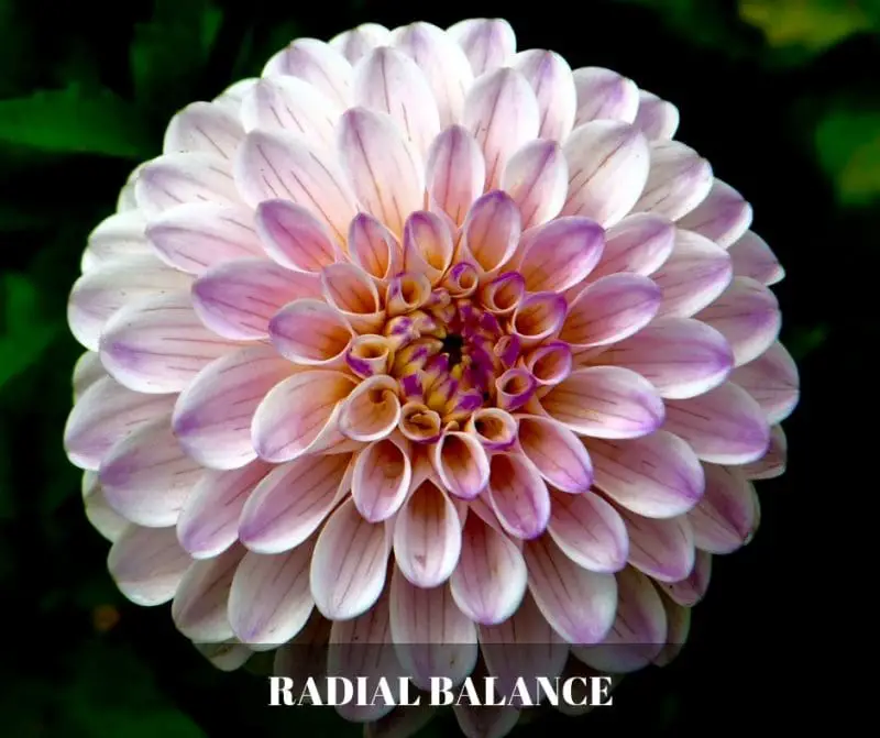 Radial balance