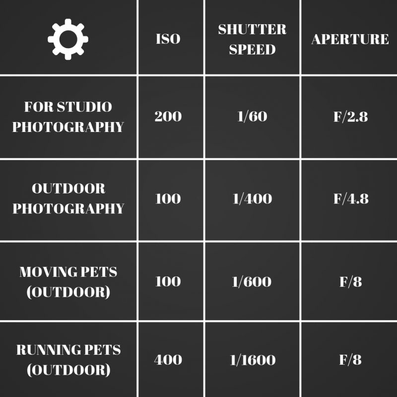 Camera settings for pet photography