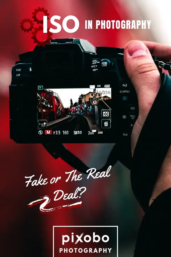 ISO in Photography: Fake or the Real Deal?