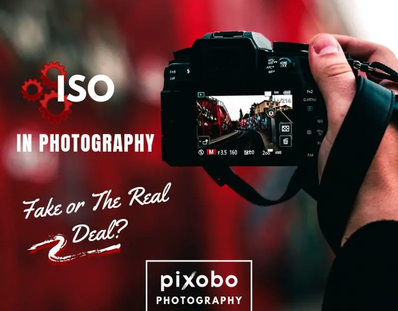 ISO In Photography