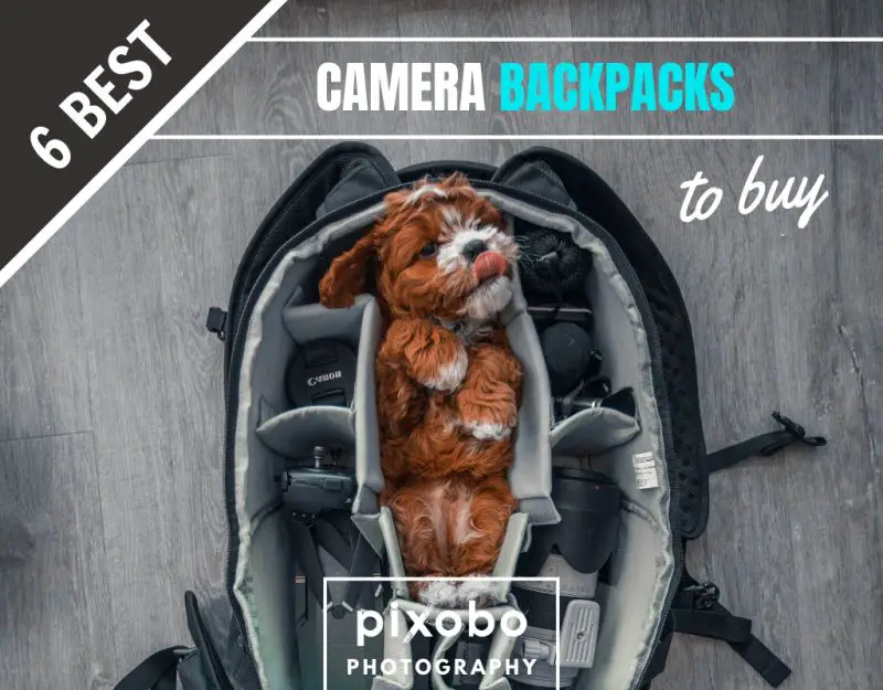 6 Best Photography Camera Backpacks