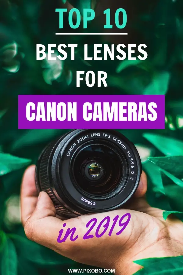 Do you want to know more about Canon cameras lenses? Can you use any Canon lens on any Canon Camera? In this blog post, you can find out the top 10 best lenses for Canon cameras in 2019. Find out which Canon lenses you should consider buying and much more information related to Canon camera lenses. #cameralenses #canonlens #lensesforcanon #canonlenses