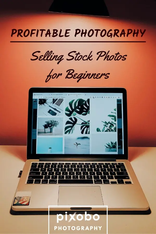 Profitable Photography: Selling Stock Photos for Beginners