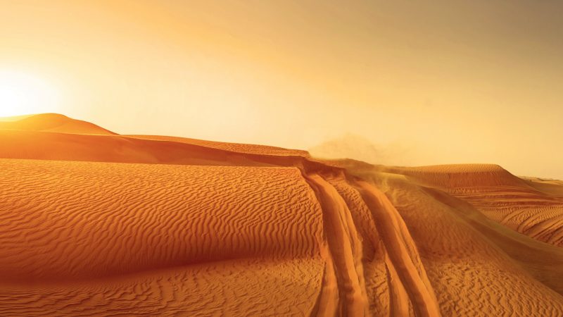 Lines And Patterns of Sand