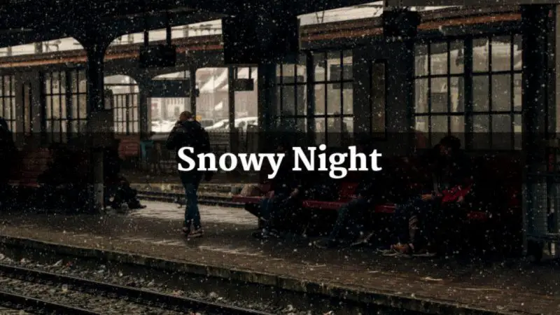 On a Snowy Night