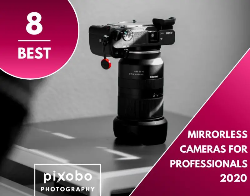 Best Professional Mirrorless Cameras in 2020 Pixobo Profitable