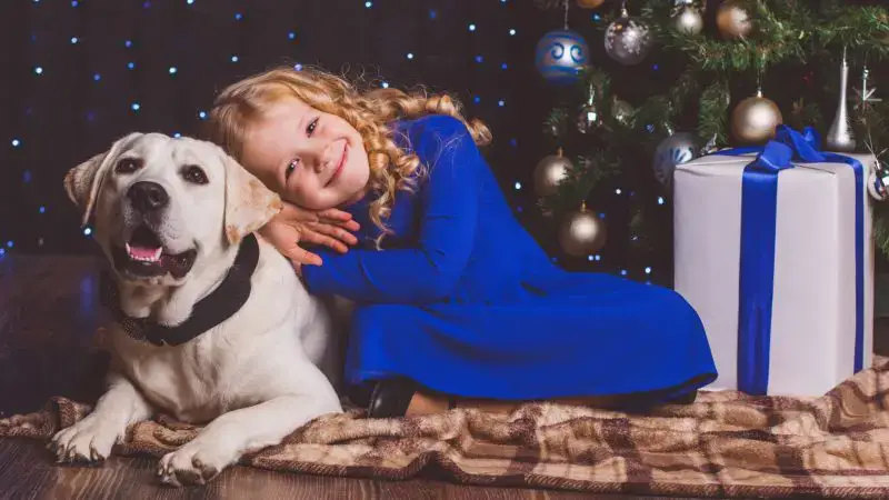 Le chien et l'enfant