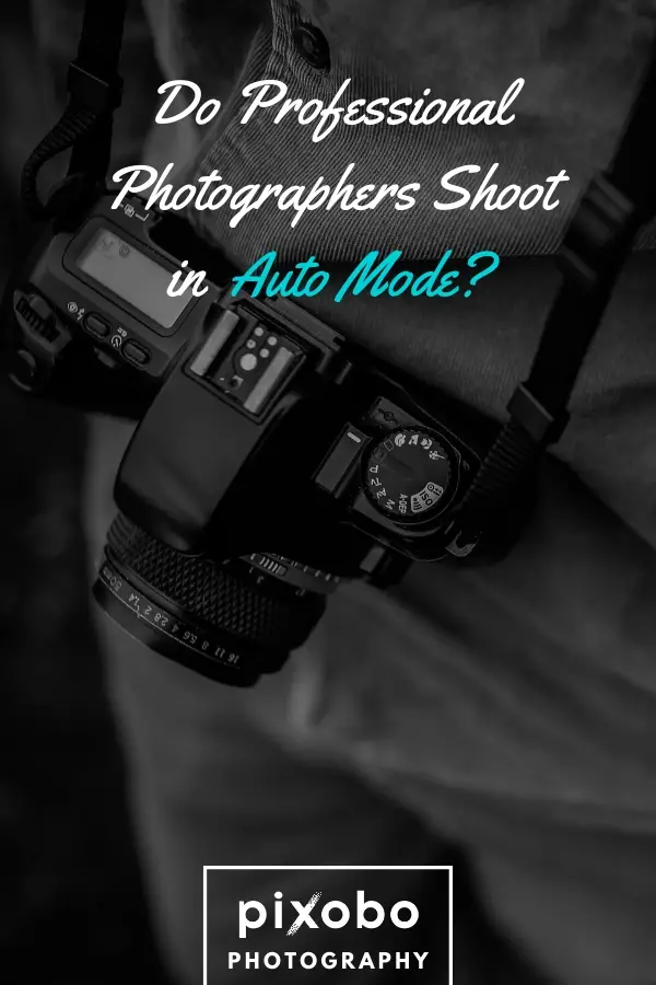 Do Professional Photographers Shoot in Auto Mode?