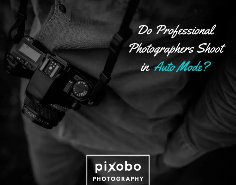 Do Professional Photographers Shoot in Auto Mode_