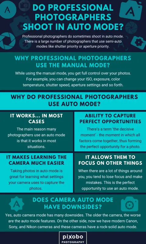 Do Professional Photographers Shoot in Auto Mode_1