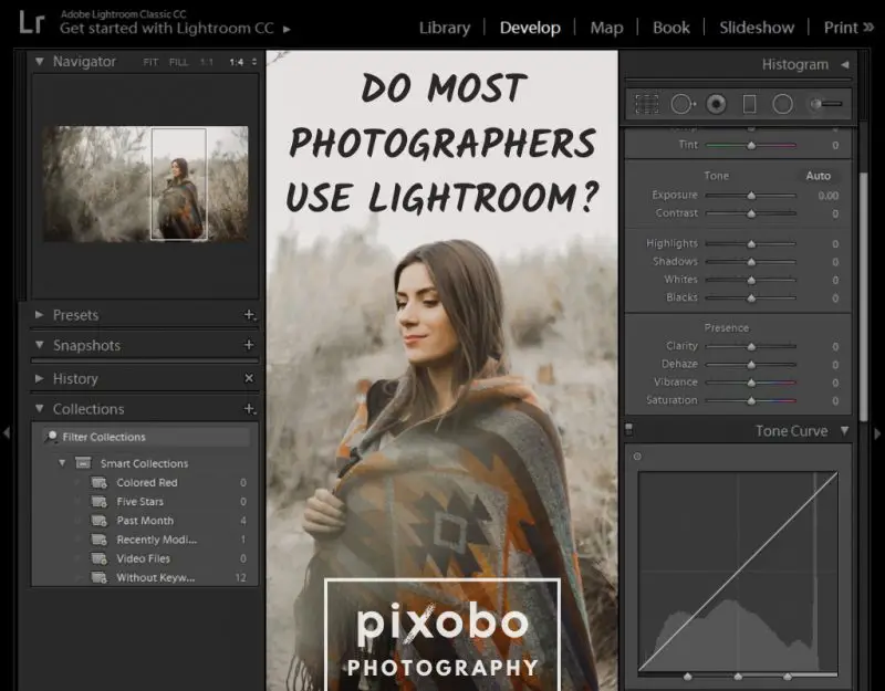 Do Most Photographers Use Lightroom