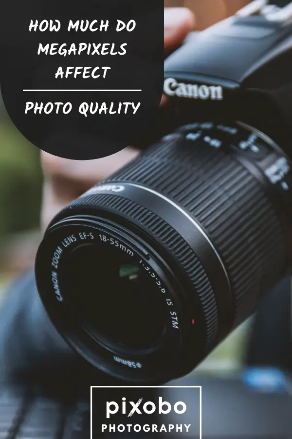How Much Do Megapixels Affect Photo Quality