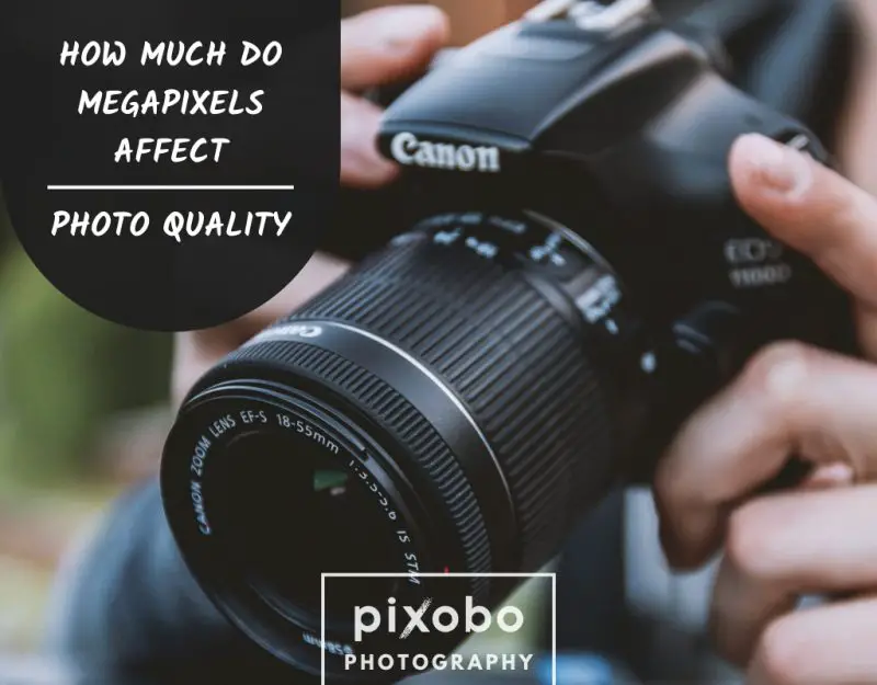 How Much Do Megapixels Affect Photo Quality