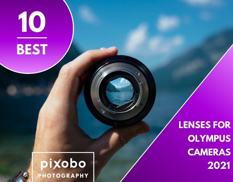 Best Lenses for Olympus Cameras in 2021