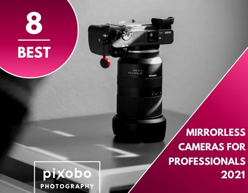 Best Professional Mirrorless Cameras In 2021