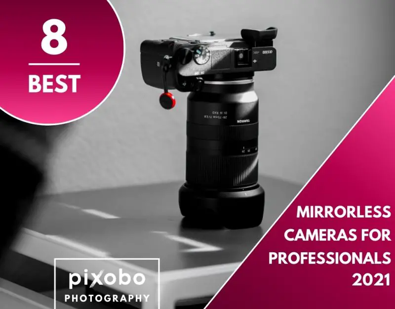 Best Professional Mirrorless Cameras in 2021 Pixobo Profitable