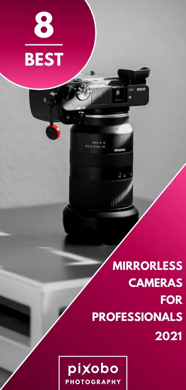 Best Professional Mirrorless Cameras in 2021