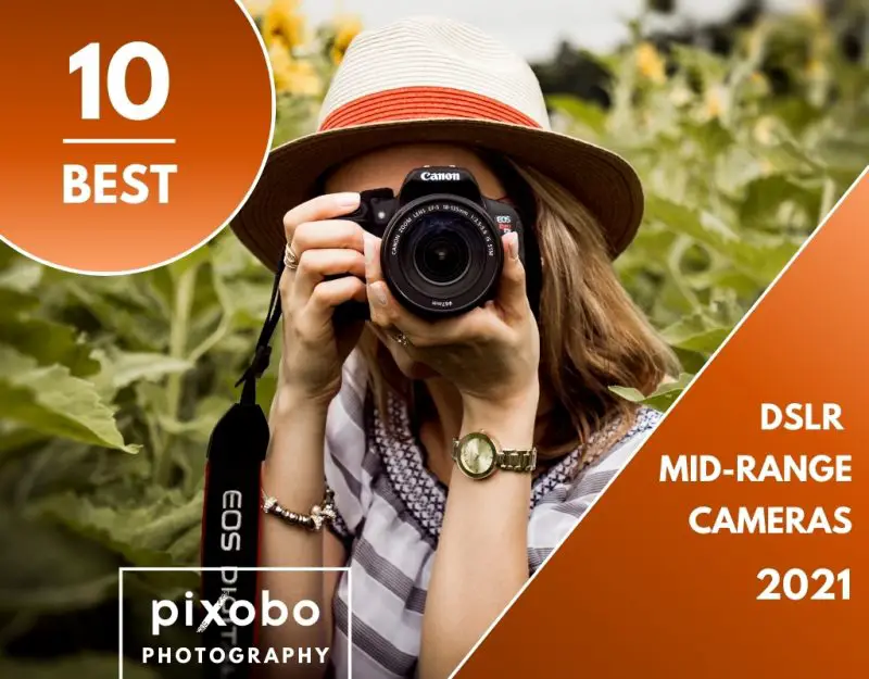 best frame dslr camera 2021 best frame dslr camera 2021