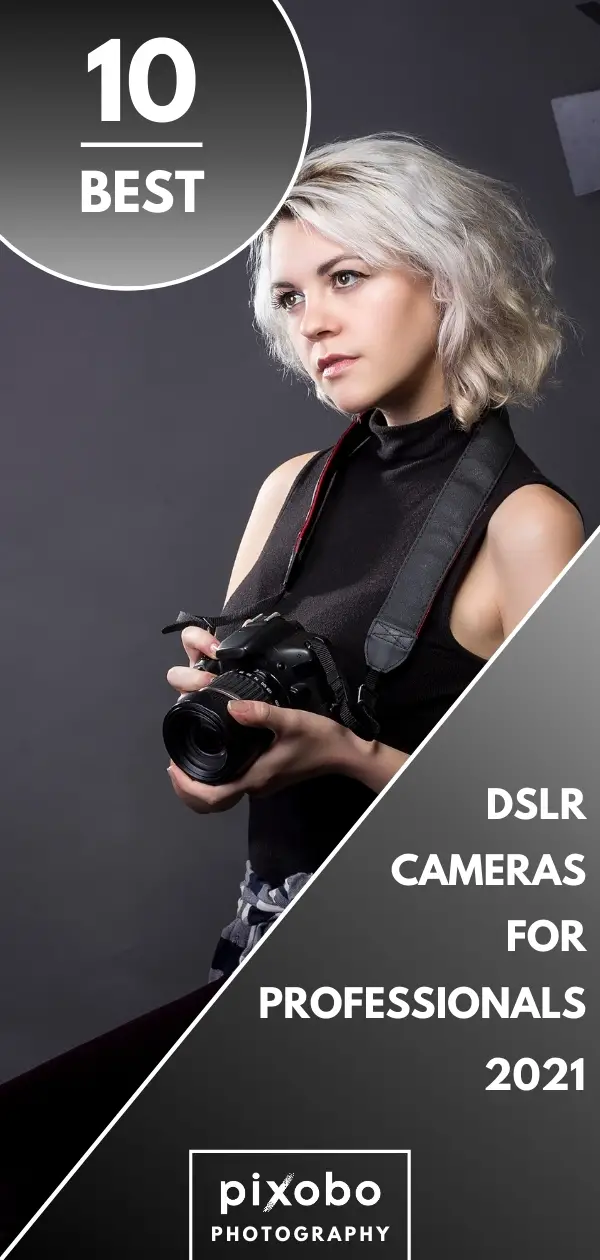 Best Professional DSLR Cameras in 2021