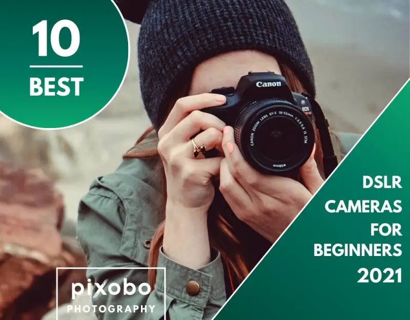 Top 10 Best DSLR Cameras for Beginners in 2021