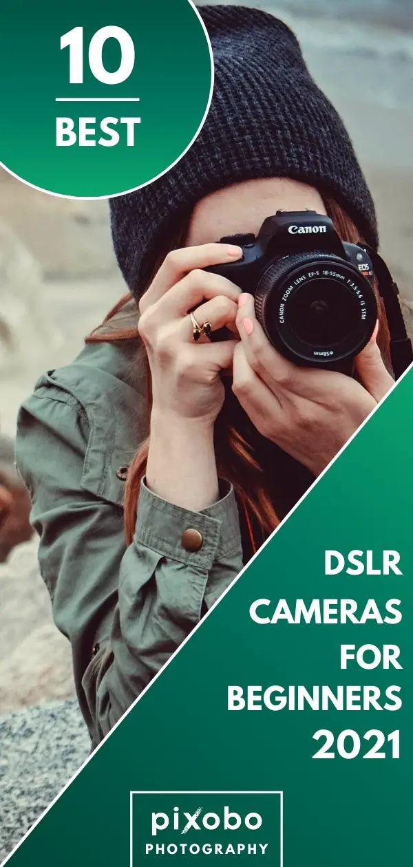 Best Entry-Level DSLR Cameras in 2021