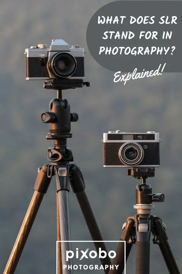 What Does SLR Stand For in Photography? | Explained!