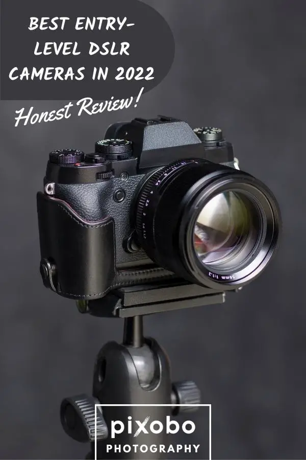 Best Entry-Level DSLR Cameras in 2022