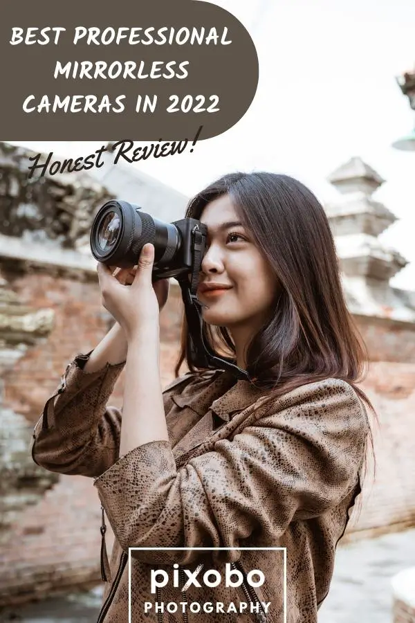 Best Professional Mirrorless Cameras in 2022