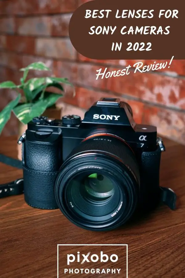 Best Lenses for Sony Cameras in 2022