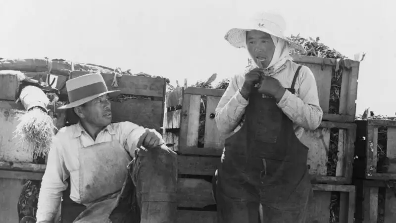 Dorothea Lange