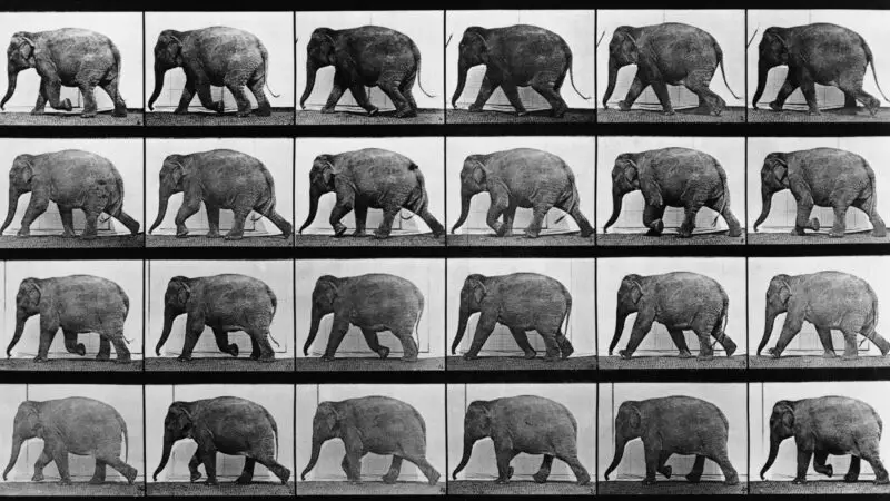 Eadweard Muybridge