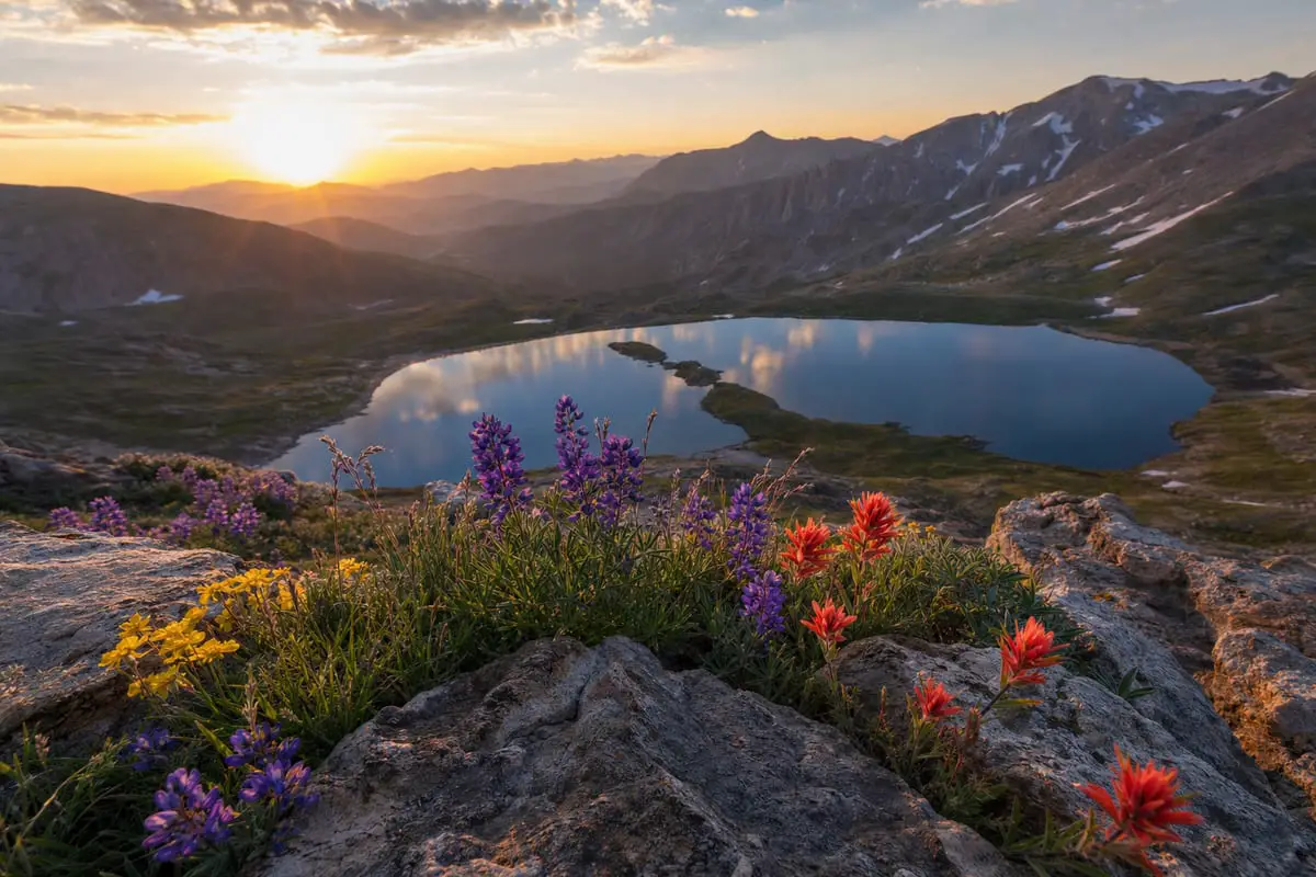 A wide-angle landscape with wildflowers and rocks sharp in the foreground, a lake in the middle ground, and mountains behind at golden hour